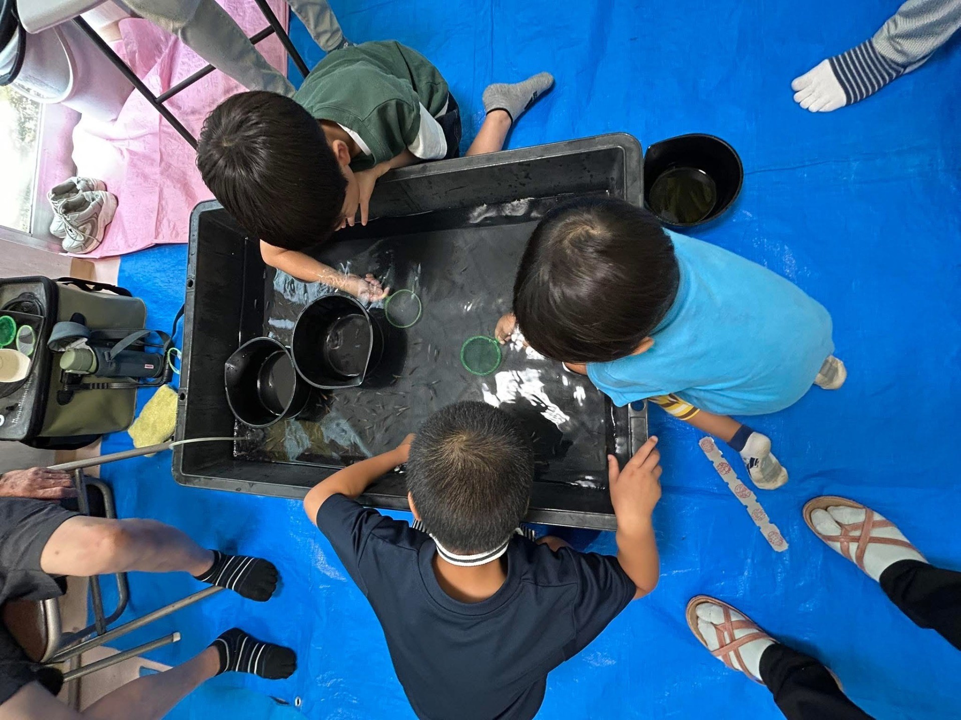 3e4c5fe067314bf4fdecf4eaf023da45-1760077503.jpeg 3e4c5fe067314bf4fdecf4eaf023da45-1760077503.jpeg